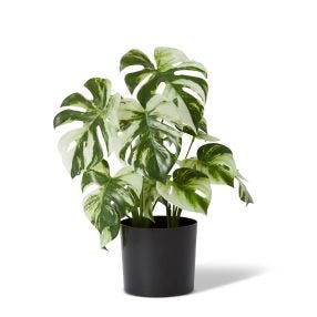 Marble Monstera Potted Plant Green White - 37cm x 37cm x 39cm color Green
