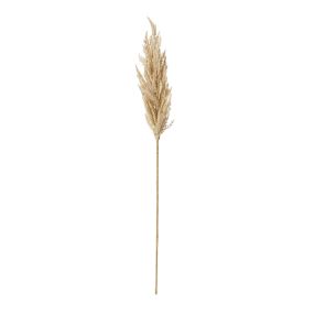 Pampas Grass Stem Beige - 83cm color Beige