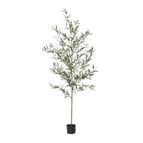 Olive Potted Tree Grey Green - 75cm x 75cm x 200cm color Grey/Green