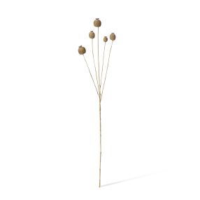 Poppy Seed Spray Light Brown - 76cm color Light Brown