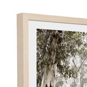 Bushland Track Print  - 85cm x 114cm 