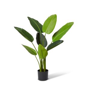 Bird of Paradise Potted Plant Green - 78cm x 78cm x 122cm color Green