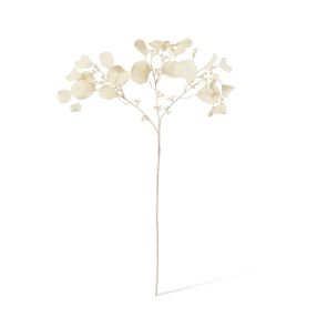 Decor Eucy Spray Cream - 67cm color Cream