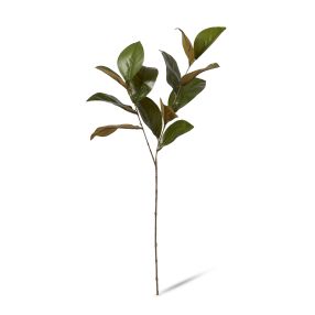 Magnolia Leaf Spray Green - 76cm color Green