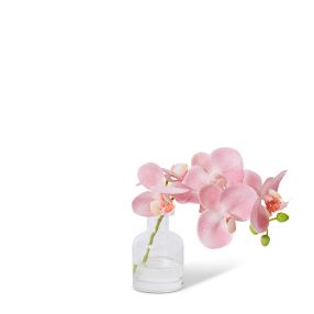 Phalaenopsis Orchid in Vase Pink - 20cm color Pink