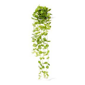 Coin Leaf Potted Hanging Bush Green - 30cm x 30cm x 90cm color Green
