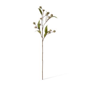 Gum Nut Stem Grey Green - 72cm color Grey/Green